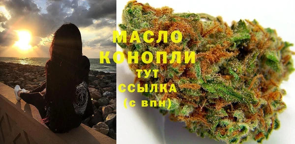 МДПВ Артём