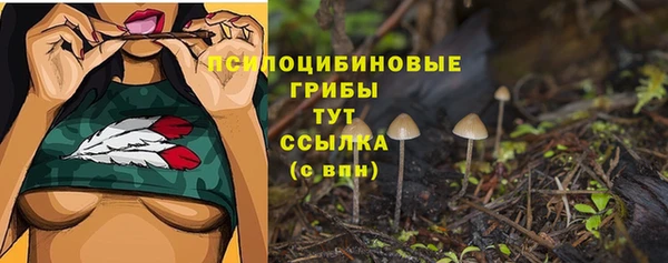круглые Магас