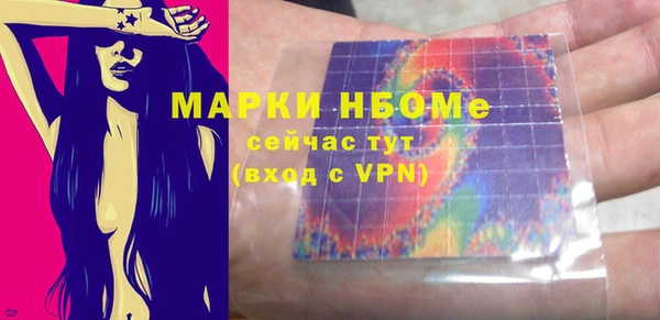 индика Бердск