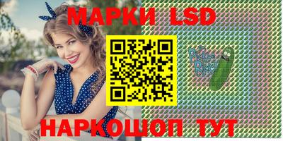 прущие грибы Абакан