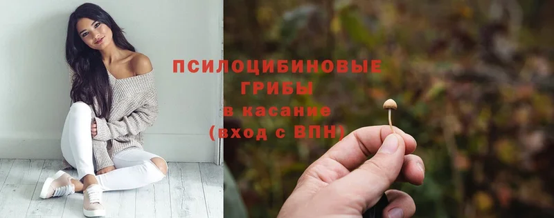 Псилоцибиновые грибы Psilocybe  где найти наркотики  Рыбинск 