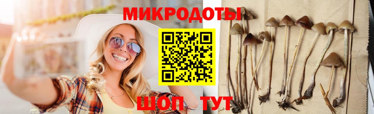 Псилоцибиновые грибы Psilocybe  Вход с VPN  Рыбинск 